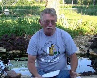 Tagged 6 Question Prepper/Survivalist Challenge