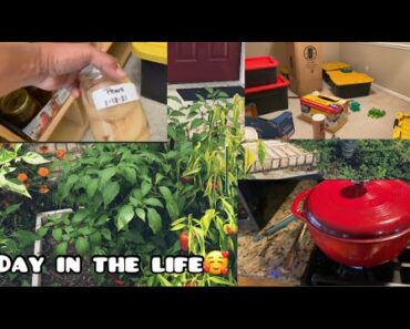 Prepper Pantry | Garden | Cooking | Day In The Life With@Tommy Bites Homestead Let’s chill