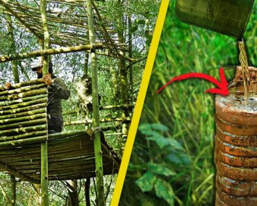 Building RAISED SHELTER to survive the floods on abandoned island!