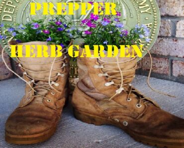 Prepper herb garden