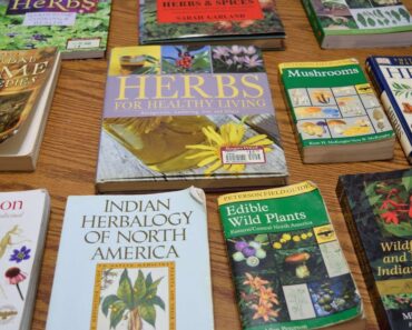 Recommended Books & Guides On Wild Edibles & Medicinal Plants