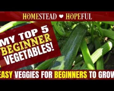 Top 5 Beginner Vegetables For Survival Gardening During Food Shortages