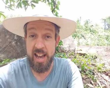 Why Do I Hate Mulch AND NATURE??? (Survival Gardeners #017)