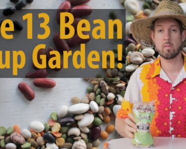 The 13 Bean Soup Garden (TCEG Episode 10)