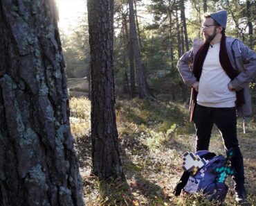 Can a Mojang Employee Survive the Night in a REAL Forest?