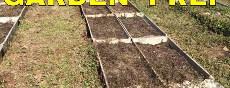 🌿 ORGANIC WEED CONTROL THAT WORKS! 🌿 GARDEN PREPARATION AND MAINTENANCE