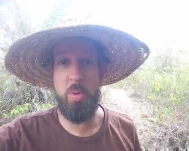 Will I Use Biochar in My Gardens? (Survival Gardener Minute #038)