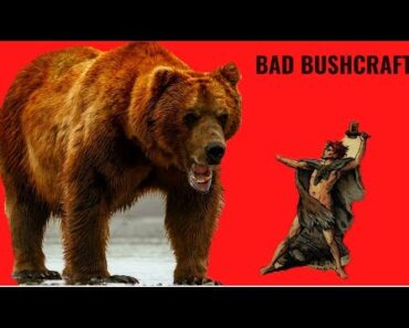How to Survive a Bear Attack