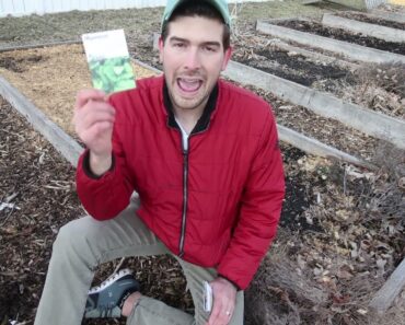 Crops You Can Direct Sow Before Your Last Frost