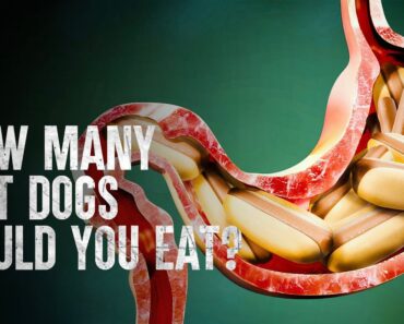 How to Survive a Hot Dog Eating Contest