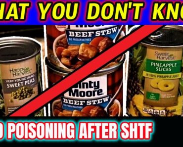 Why I Don't Stockpile Canned Foods for Prepping – Prepper Food
