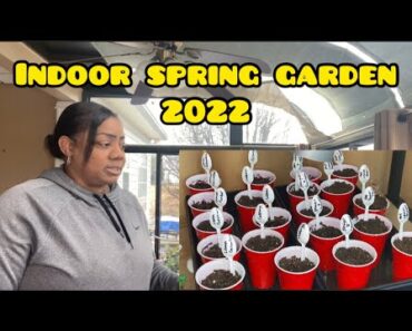 Pt 1- Starting Seeds Indoors For Your Spring Garden | Creating Food Security