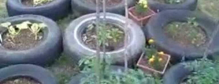 2012 Container Gardening – Growing a garden for economic survival – prepping series