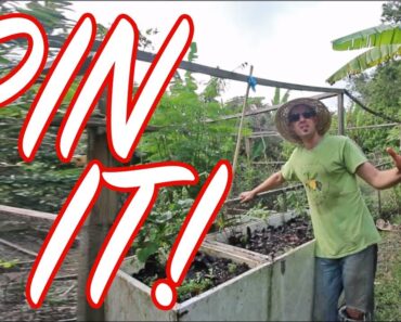 A Pinterest-Worthy Instant Herb Garden / Container Gardening Hack