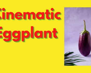 Prepper Garden Container Eggplant /  Cinematic Video
