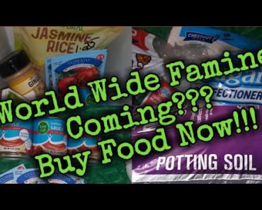 World Wide Famine Coming/Prepper Pantry budget haul/Start Prepping NOW!