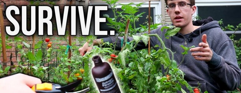 How to Survive the Garden Apocalypse