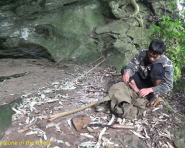 Survival Instinct – New Shelter, Cave Foraging, Forest Cooking, Alone – Survive Alone In The Forest