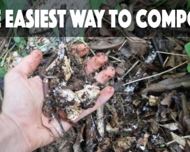 The Easiest Way to Compost