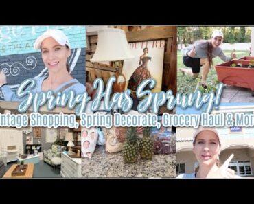 Spring Has Sprung!  Antique Shopping, Spring Decorating, Gardening, & Grocery Haul! Let's Hang!