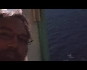 Can The MuttMutt Survive Another Day Of Diving In Cozumel?