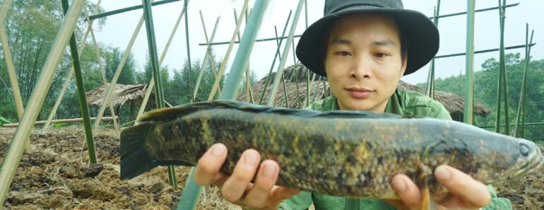 Gardening and trapping fish for food – Wild alone, survival instincts – Forest Life CT | Ep 10