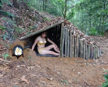 Buiding survival shelter in the forest, Bushcraft Wood hut | LIVING OFF GRID , Camping Alone