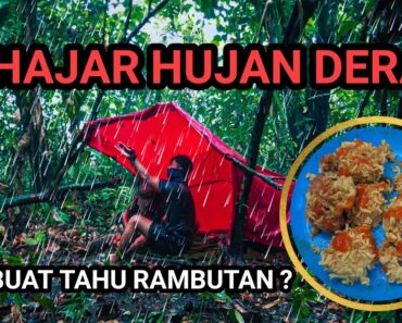 Camping di Hutan Alami Kalimantan – BASAH KUYUP!! Masak Tahu Rambutan di Temani Hujan | ASMR #2