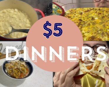 $5 MEAL IDEAS!! | 5 MEALS WITH A $25 BUDGET! EASY AND BUDGET FRIENDLY