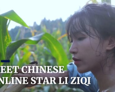 Chinese online star Li Ziqi provides an escape from urban life
