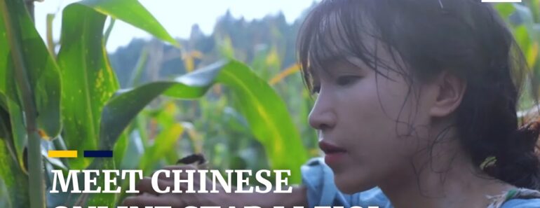 Chinese online star Li Ziqi provides an escape from urban life Chinese online star Li Ziqi provides an escape from urban life