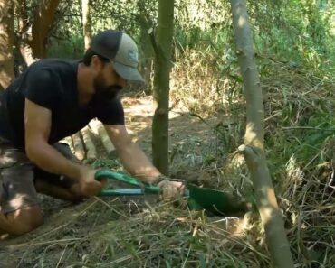 Solo Overnight building Tree House! DAY 1   Find the perfect place to build a structure for survive!