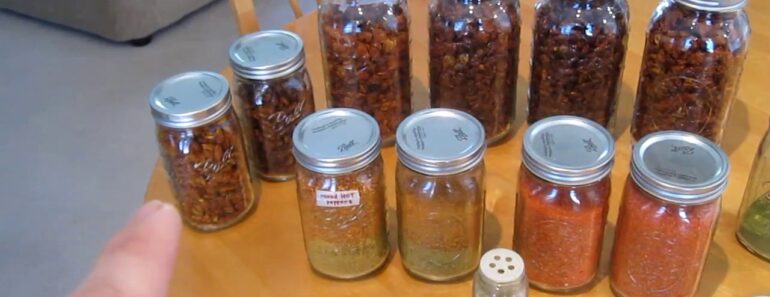 Container Garden August to December Update Misc Harvest and Cat Video Raised Bed Organic Soil