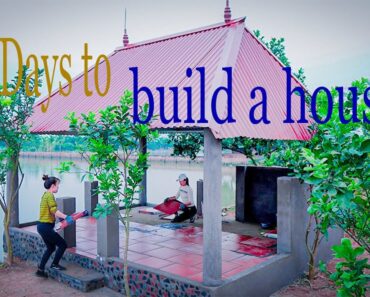 Full Video: Journey Building a warm survival shelter, renovating the garden and raising livestock