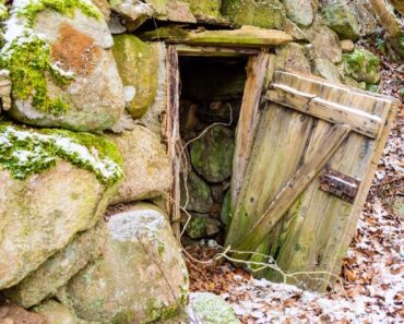 The All but Forgotten Root Cellar