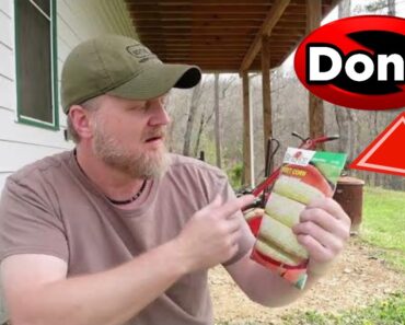 The Best Survival Garden Seeds – What You Should Know!