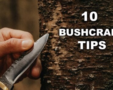 10 Survival Skills & Bushcraft Tips | 10 Tips in 10 Minutes