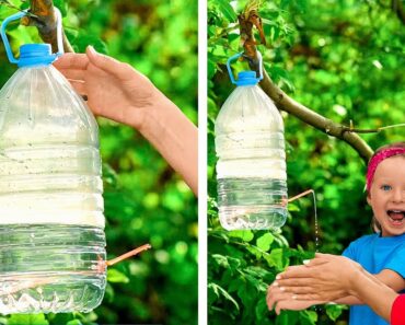 WOW! Awesome Camping Hacks To Have A Great Time Outdoors! Survival Hacks By A PLUS SCHOOL