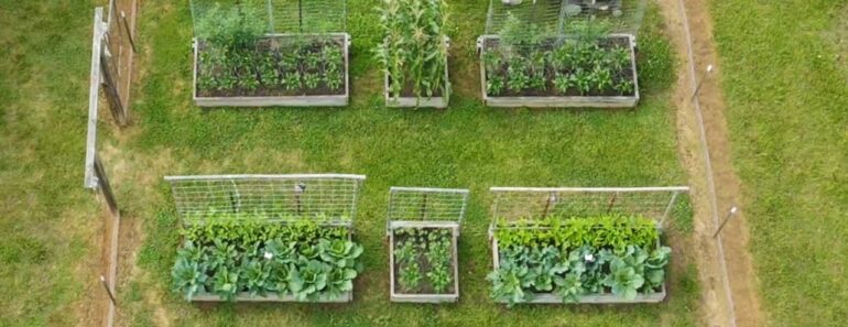 EASY! Grow FOOD at Home in a Vegetable Garden TIPS and TRICKS for SUCCESS! ZONE 7 EASY! Grow FOOD at Home in a Vegetable Garden TIPS and TRICKS for SUCCESS! ZONE 7