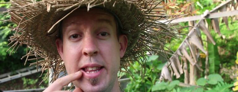 Harvesting a Pathetic Quantity of Sweet Potatoes (You Will Laugh!) Harvesting a Pathetic Quantity of Sweet Potatoes (You Will Laugh!)