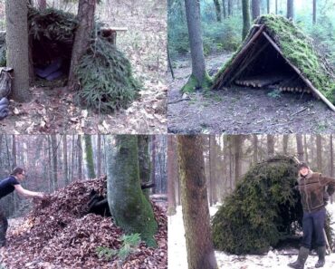5 Survival Shelters Everyone Should Know