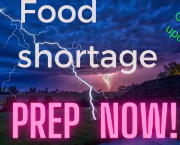 Prepare For Food Shortages: It's About To Get Real