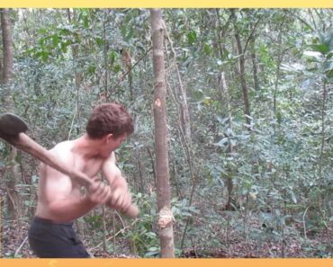 Primitive Technology: Stone Axe (celt)