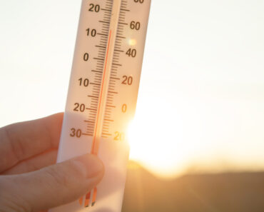 Keeping Cool Amidst Soaring Prices
