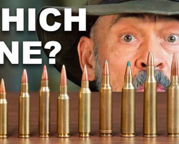 Which cartridges won't survive supply chain issues? – Season 2: Episode 47
