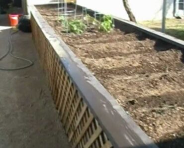 "Raised Bed Garden" – Urban Survival