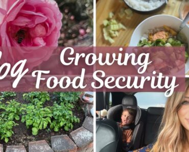 Vlog || Growing food security || What I eat in a day || Prepper