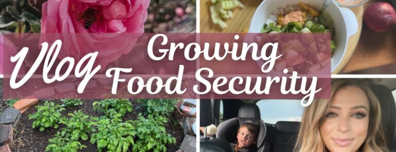 Vlog || Growing food security || What I eat in a day || Prepper Vlog || Growing food security || What I eat in a day || Prepper