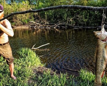 Ultimate Survival Fishing Challenge! | No Rod, No Hooks, No Line, No Bait (no problem!)