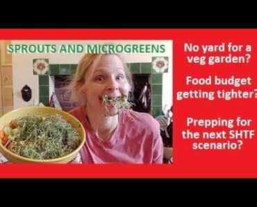Tight food budget?  Beginning prepper? Want to grow your own food but no yard? HERE'S YOUR ANSWER!!!